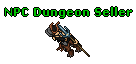 NPC Dungeon Seller
